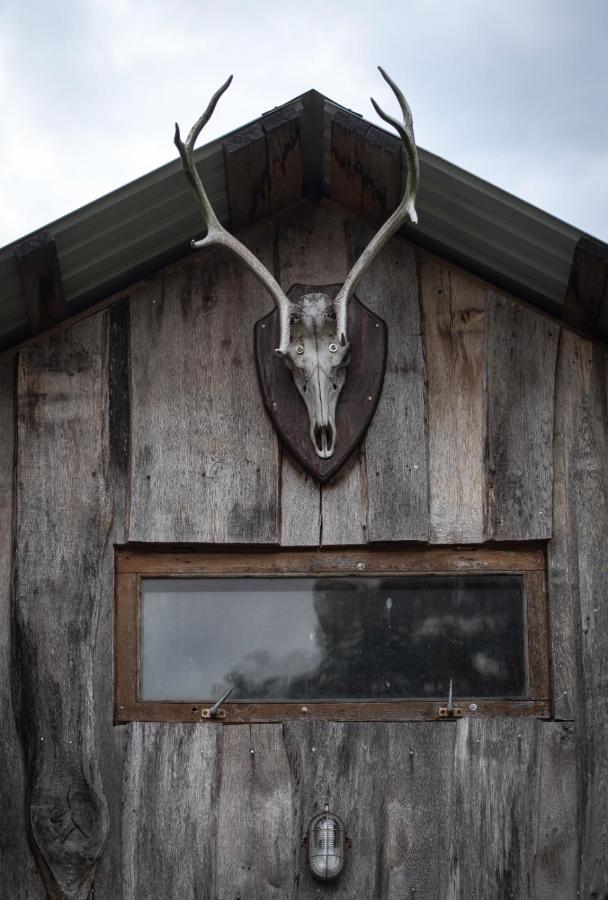 Hotel Glamping Fluffy Horns - Glempings Pukainie Ragi Plieņciems Exterior foto